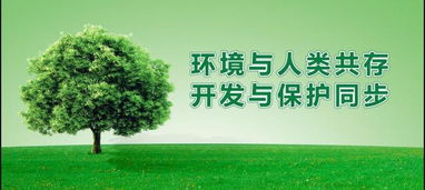 我國木門生產企業該往哪里走