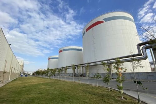 安琪酵母海外工廠 扎根當地，共筑綠色未來